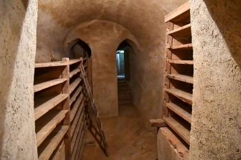 Račice Chateau - tour - cellar